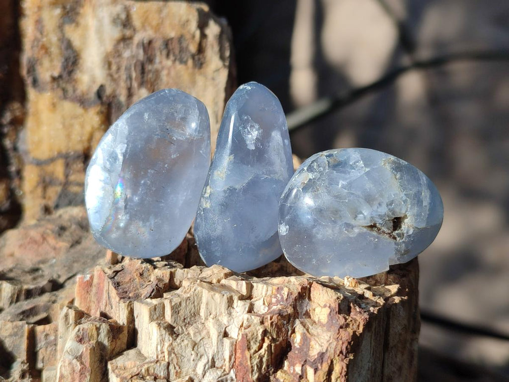 Polished Blue Celestite Free Forms x 35 From Sakoany, Madagascar - Toprock Gemstones and Minerals 