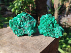 Natural Silky Malachite Specimens x 6 From Kasompe, Congo - Toprock Gemstones and Minerals 