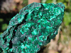 Natural Silky Malachite Specimens x 6 From Kasompe, Congo - Toprock Gemstones and Minerals 