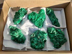 Natural Silky Malachite Specimens x 6 From Kasompe, Congo - Toprock Gemstones and Minerals 