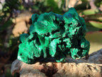 Natural Silky Malachite Specimens x 6 From Kasompe, Congo - Toprock Gemstones and Minerals 