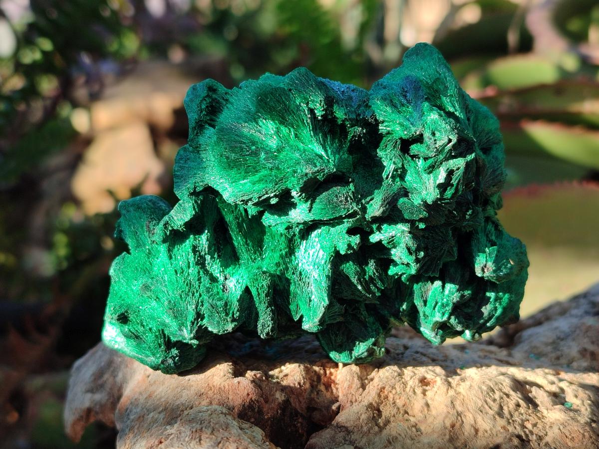 Natural Silky Malachite Specimens x 6 From Kasompe, Congo - Toprock Gemstones and Minerals 
