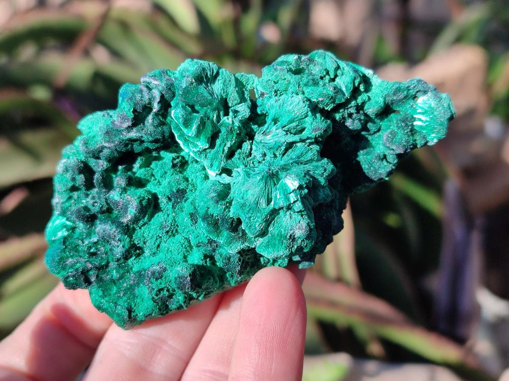 Natural Silky Malachite Specimens x 6 From Kasompe, Congo - Toprock Gemstones and Minerals 
