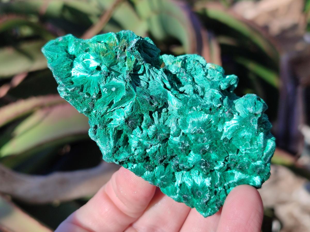 Natural Silky Malachite Specimens x 6 From Kasompe, Congo - Toprock Gemstones and Minerals 