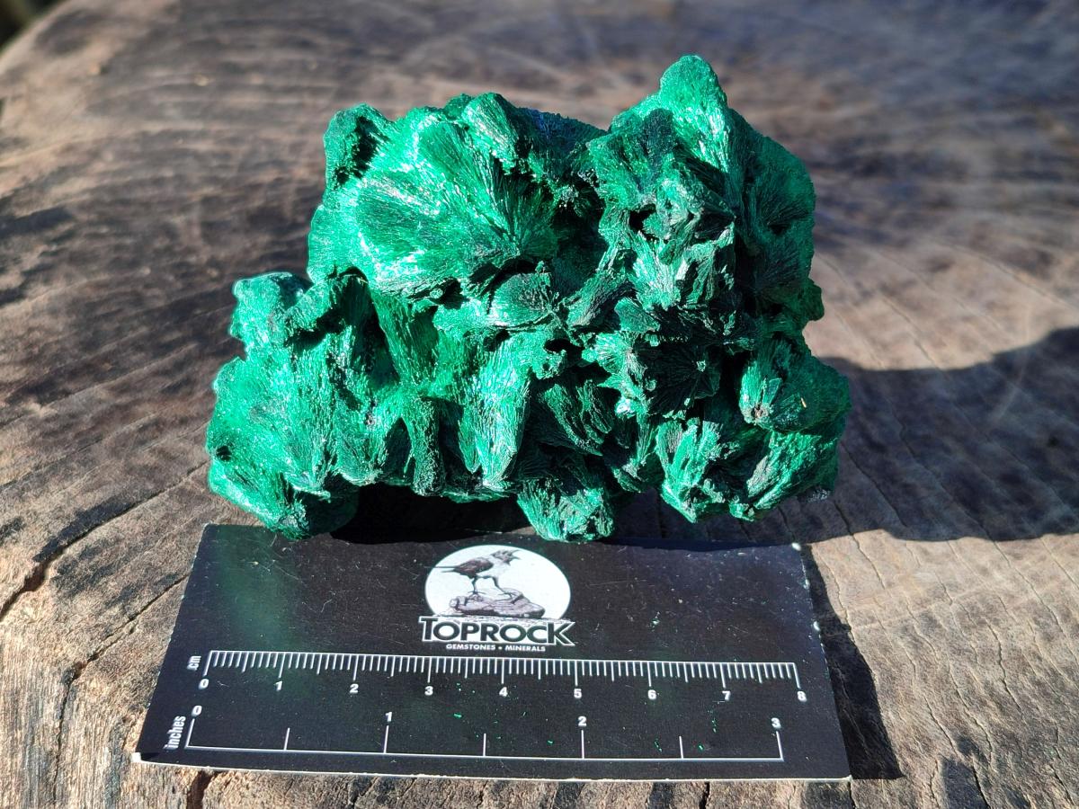 Natural Silky Malachite Specimens x 6 From Kasompe, Congo - Toprock Gemstones and Minerals 