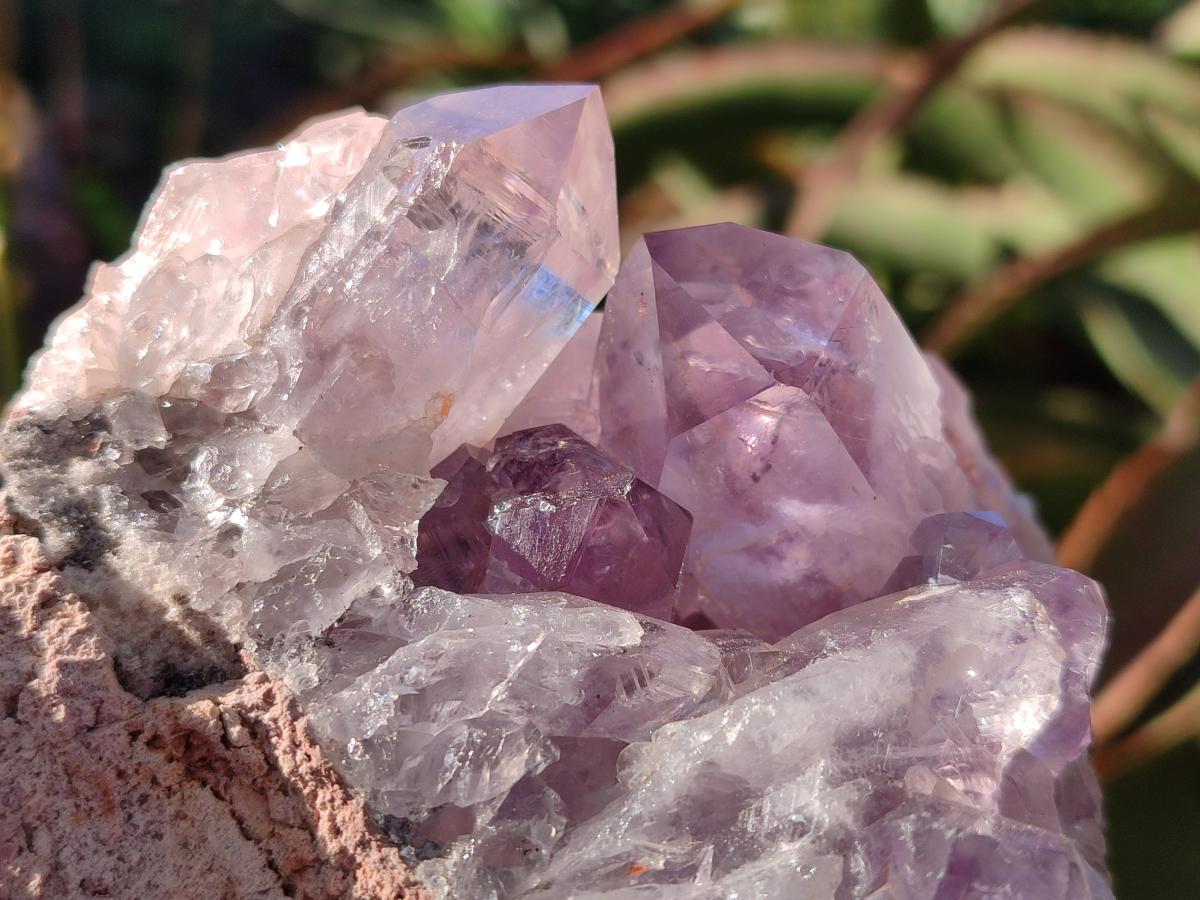 Natural Jacaranda Amethyst Clusters x 3 From Mumbwa, Zambia - Toprock Gemstones and Minerals 