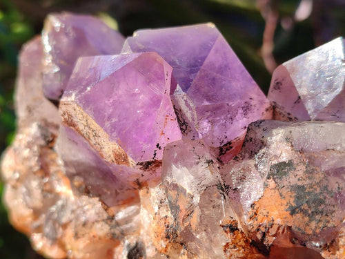Natural Jacaranda Amethyst Clusters x 3 From Mumbwa, Zambia - Toprock Gemstones and Minerals 