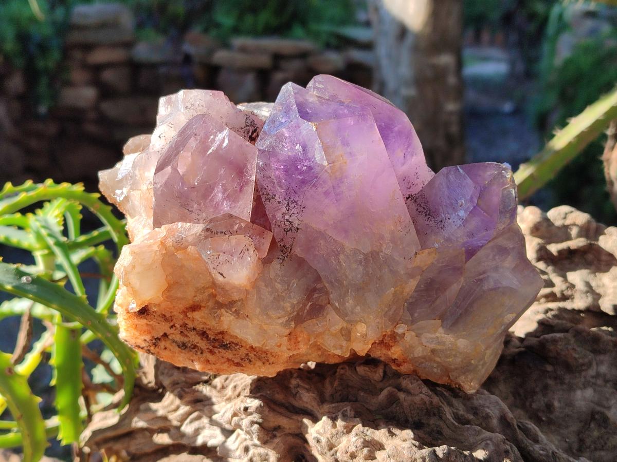 Natural Jacaranda Amethyst Clusters x 3 From Mumbwa, Zambia - Toprock Gemstones and Minerals 