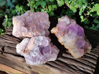 Natural Jacaranda Amethyst Clusters x 3 From Mumbwa, Zambia - Toprock Gemstones and Minerals 