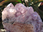Natural Jacaranda Amethyst Clusters x 3 From Mumbwa, Zambia - Toprock Gemstones and Minerals 