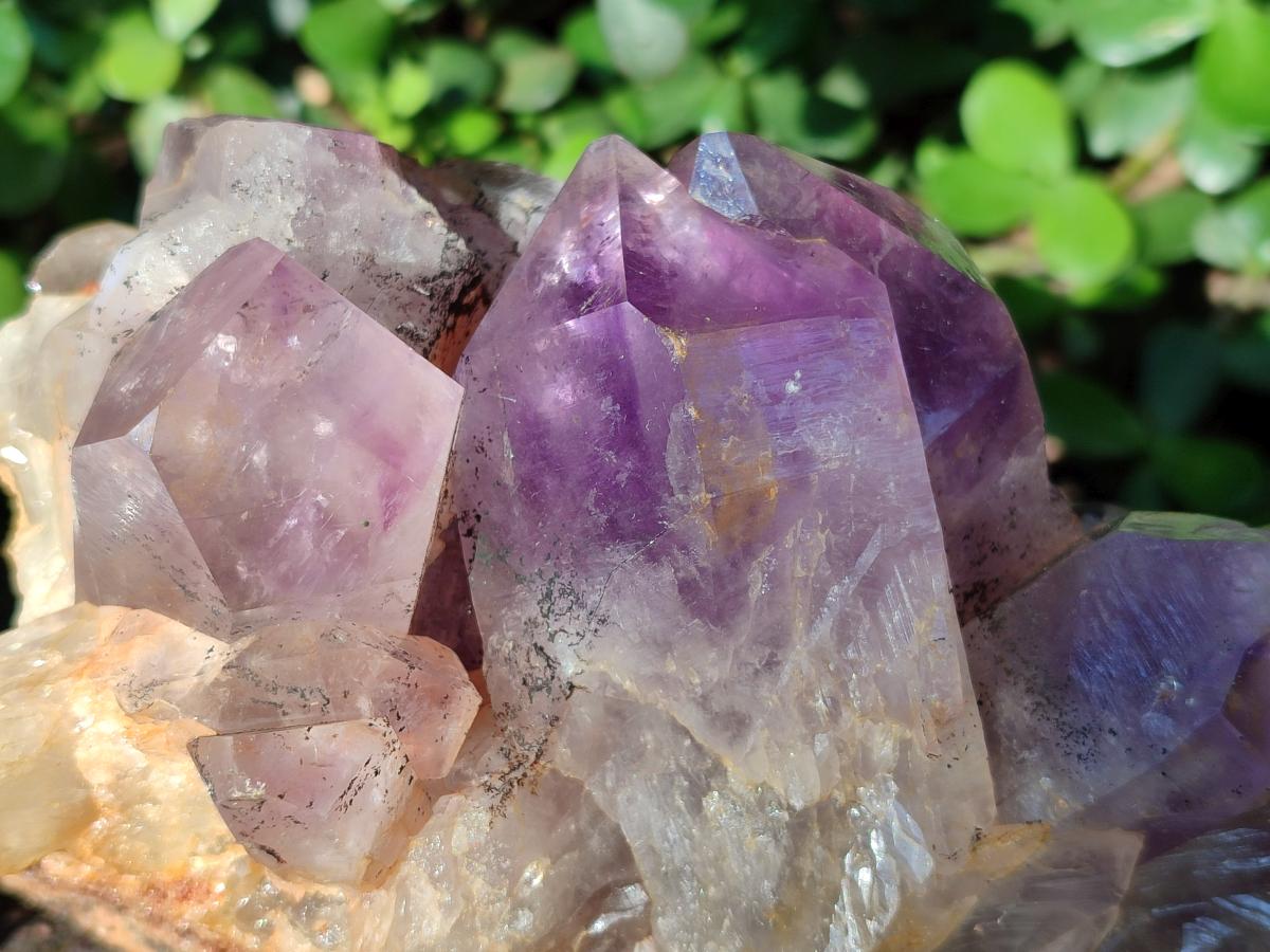 Natural Jacaranda Amethyst Clusters x 3 From Mumbwa, Zambia - Toprock Gemstones and Minerals 