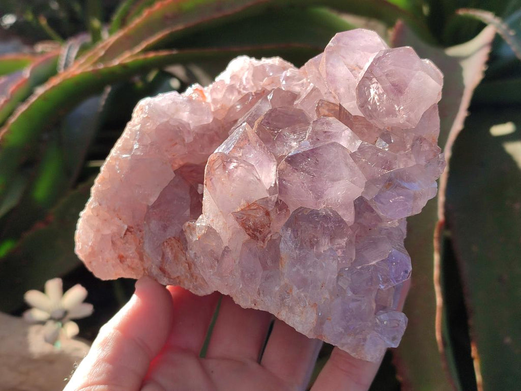 Natural Jacaranda Amethyst Clusters x 3 From Mumbwa, Zambia - Toprock Gemstones and Minerals 