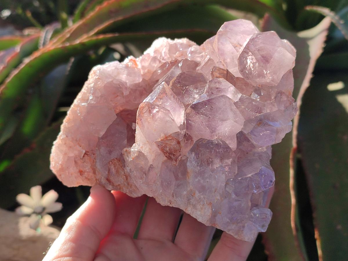 Natural Jacaranda Amethyst Clusters x 3 From Mumbwa, Zambia - Toprock Gemstones and Minerals 