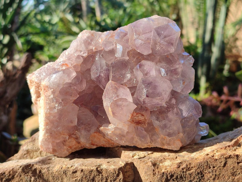Natural Jacaranda Amethyst Clusters x 3 From Mumbwa, Zambia - Toprock Gemstones and Minerals 