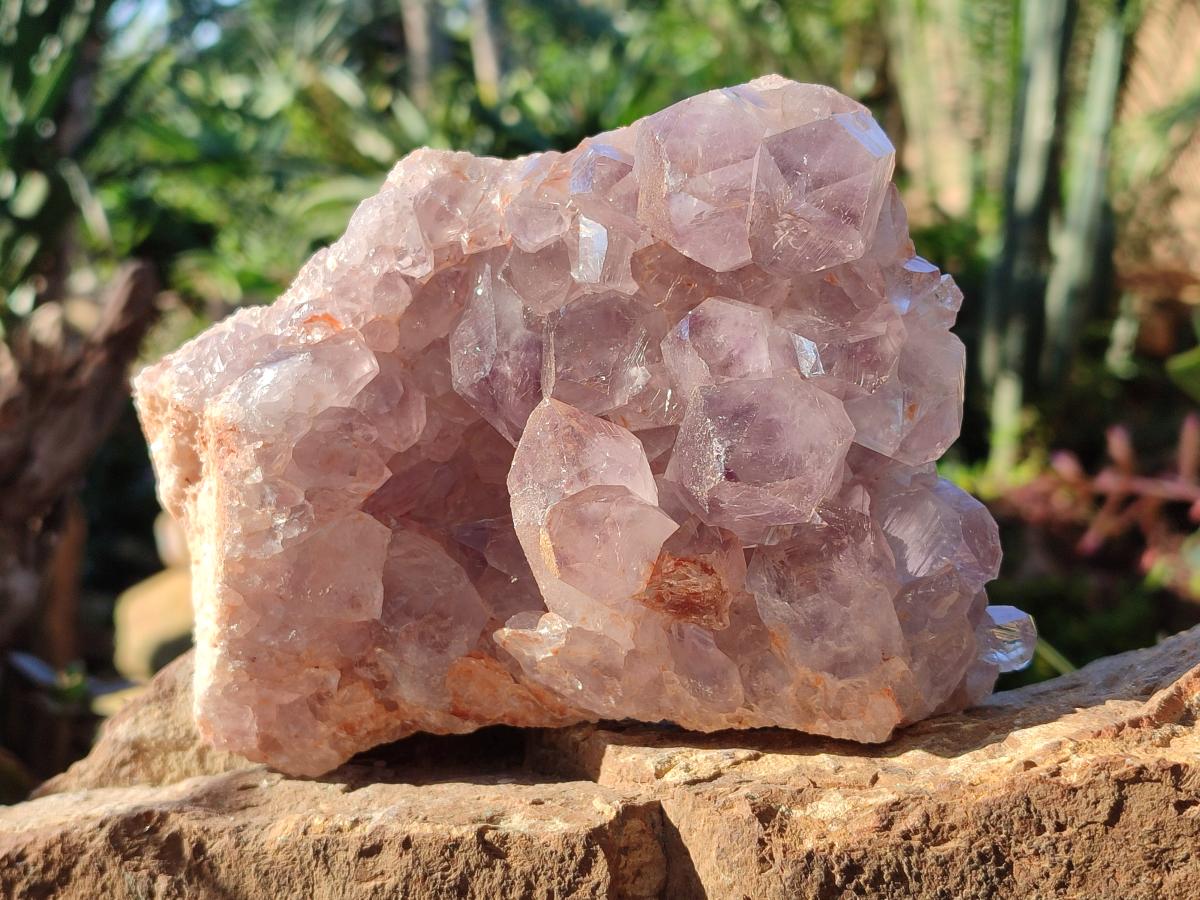 Natural Jacaranda Amethyst Clusters x 3 From Mumbwa, Zambia - Toprock Gemstones and Minerals 