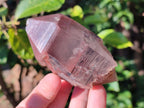 Natural Red Hematoid Quartz Crystals and Clusters x 6 From Karoi, Zimbabwe - Toprock Gemstones and Minerals 