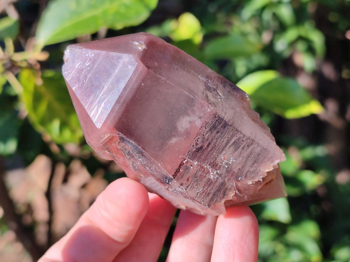 Natural Red Hematoid Quartz Crystals and Clusters x 6 From Karoi, Zimbabwe - Toprock Gemstones and Minerals 