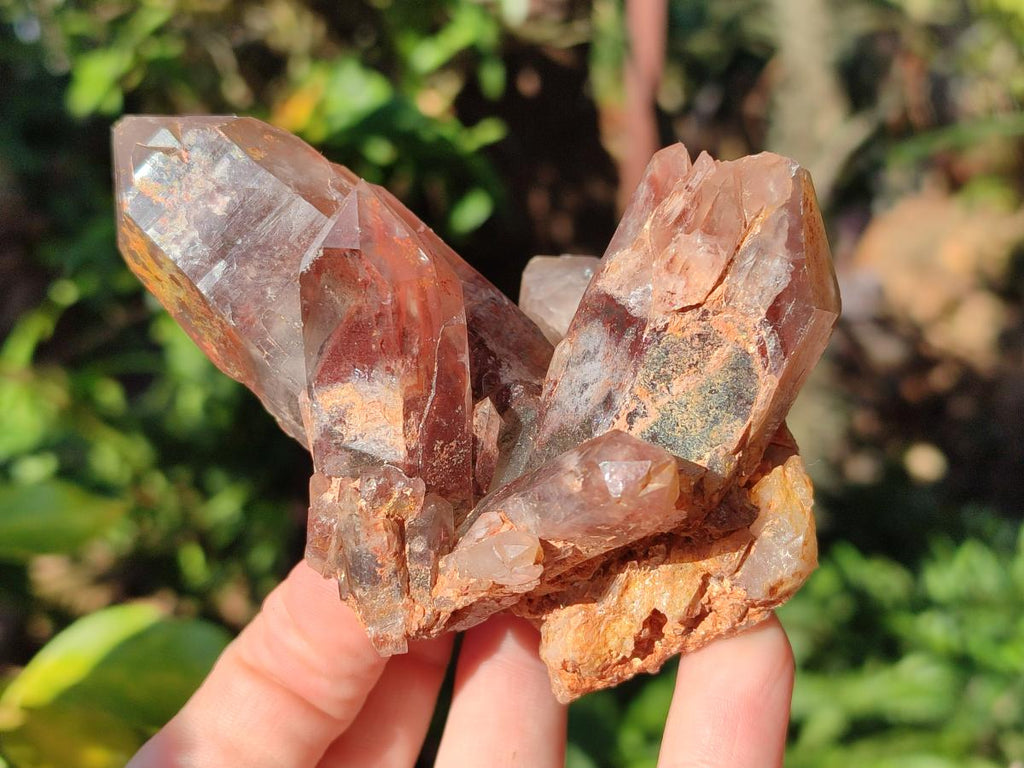 Natural Red Hematoid Quartz Crystals and Clusters x 6 From Karoi, Zimbabwe - Toprock Gemstones and Minerals 