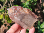 Natural Red Hematoid Quartz Crystals and Clusters x 6 From Karoi, Zimbabwe - Toprock Gemstones and Minerals 