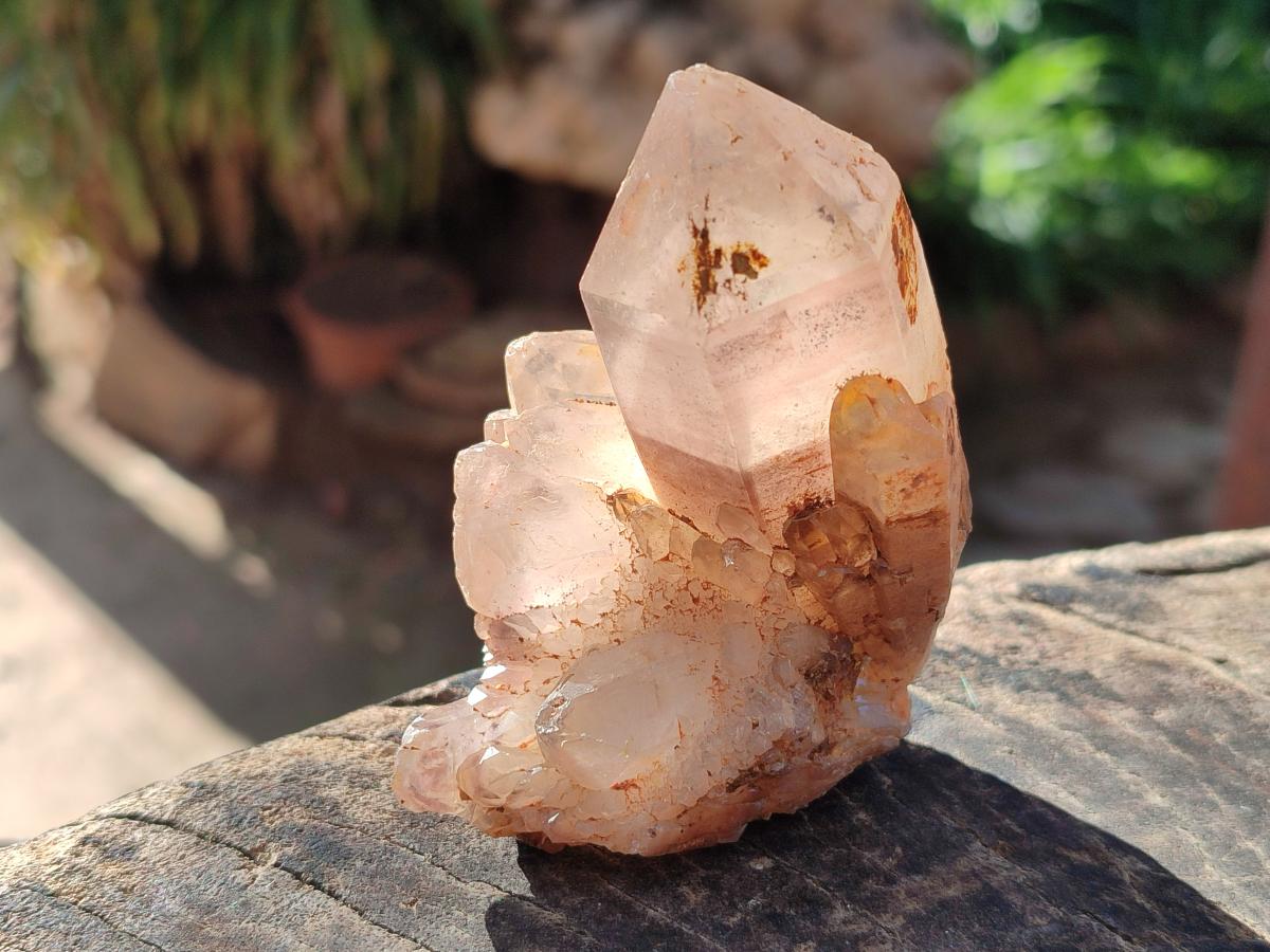 Natural Red Hematoid Quartz Crystals and Clusters x 6 From Karoi, Zimbabwe - Toprock Gemstones and Minerals 
