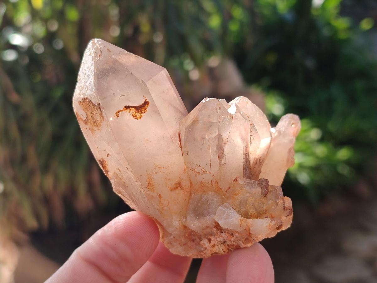 Natural Red Hematoid Quartz Crystals and Clusters x 6 From Karoi, Zimbabwe - Toprock Gemstones and Minerals 