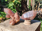 Natural Red Hematoid Quartz Crystals and Clusters x 6 From Karoi, Zimbabwe - Toprock Gemstones and Minerals 