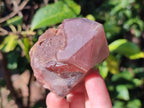 Natural Red Hematoid Quartz Crystals and Clusters x 6 From Karoi, Zimbabwe - Toprock Gemstones and Minerals 