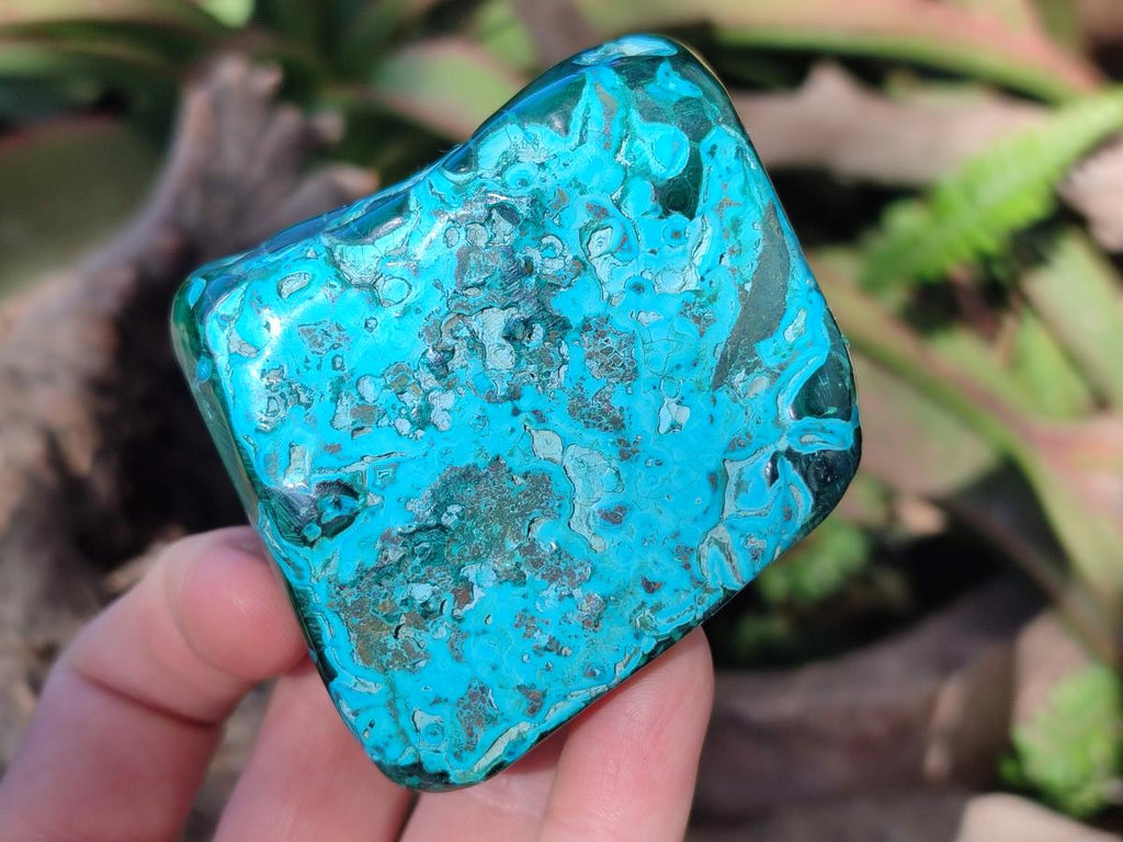 Polished Malacolla Free Forms x 6 From Kulukuluku, Congo - Toprock Gemstones and Minerals 