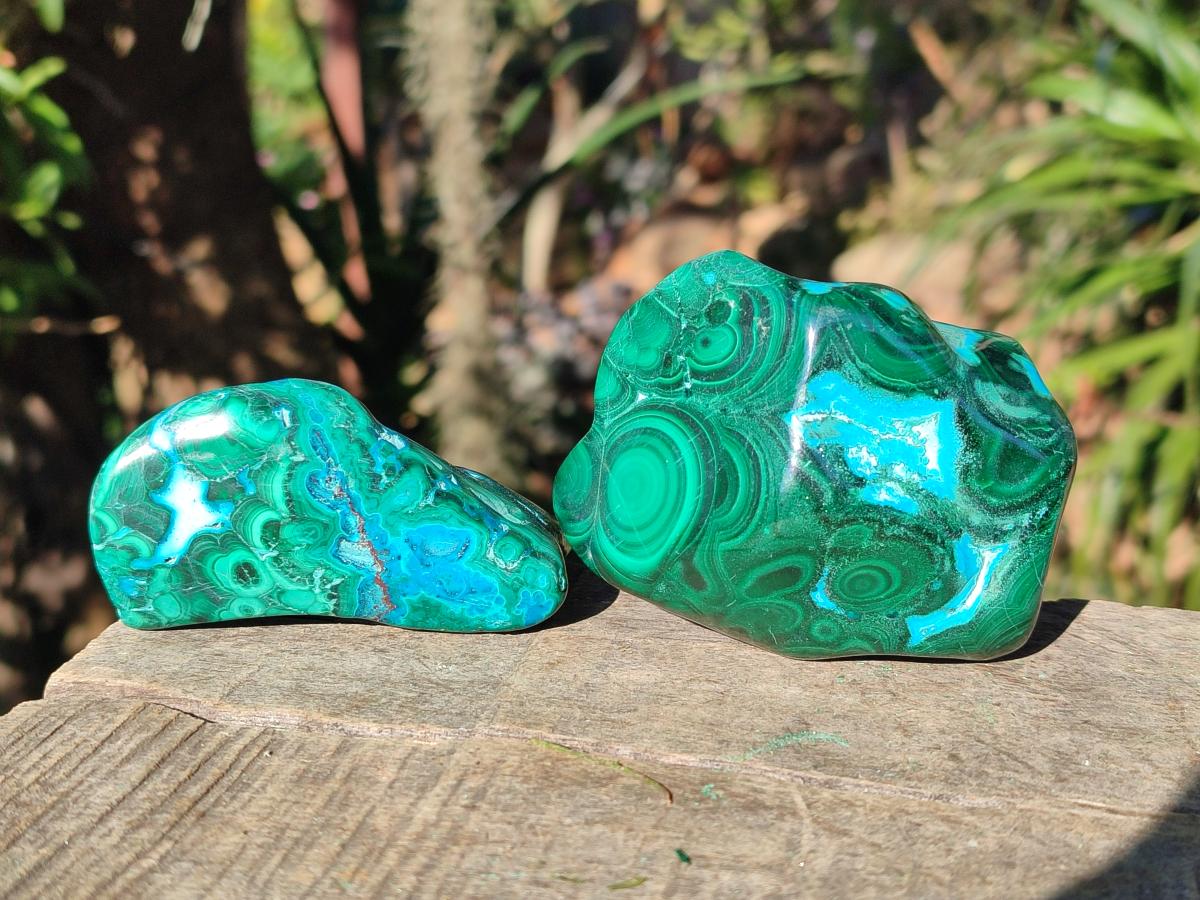 Polished Malacolla Free Forms x 6 From Kulukuluku, Congo - Toprock Gemstones and Minerals 