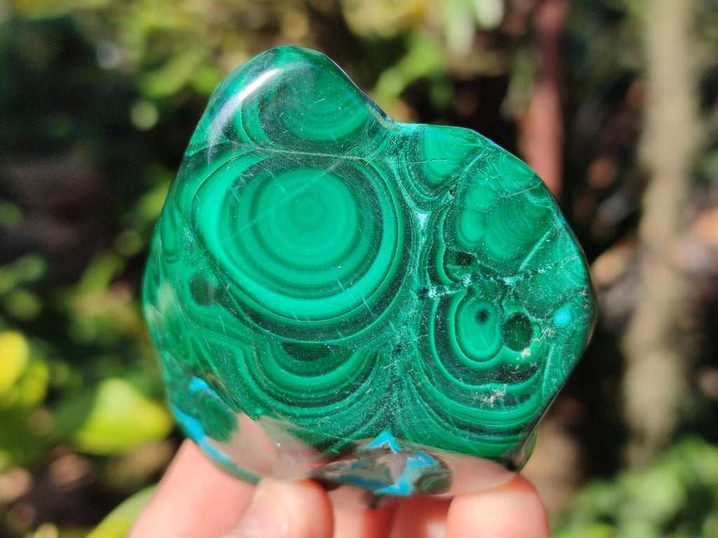 Polished Malacolla Free Forms x 6 From Kulukuluku, Congo - Toprock Gemstones and Minerals 