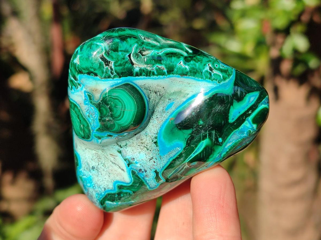 Polished Malacolla Free Forms x 6 From Kulukuluku, Congo - Toprock Gemstones and Minerals 
