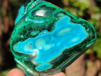 Polished Malacolla Free Forms x 6 From Kulukuluku, Congo - Toprock Gemstones and Minerals 
