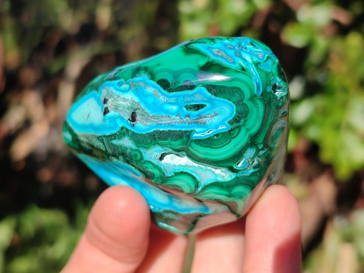 Polished Malacolla Free Forms x 6 From Kulukuluku, Congo - Toprock Gemstones and Minerals 