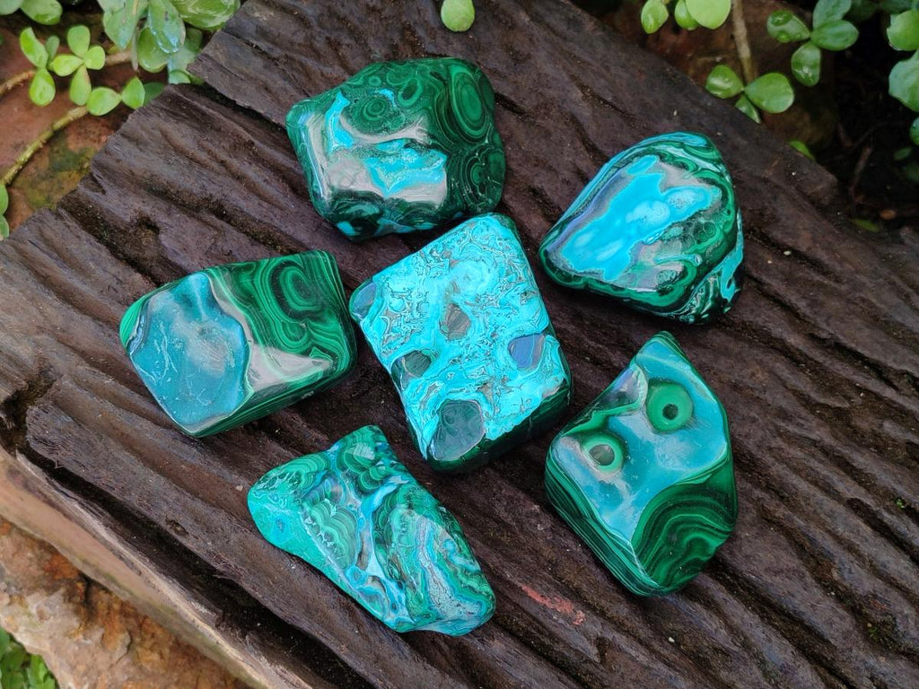 Polished Malacolla Free Forms x 6 From Kulukuluku, Congo - Toprock Gemstones and Minerals 