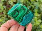 Polished Malacolla Free Forms x 6 From Kulukuluku, Congo - Toprock Gemstones and Minerals 