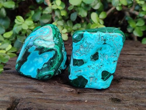 Polished Malacolla Free Forms x 6 From Kulukuluku, Congo - Toprock Gemstones and Minerals 