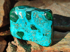 Polished Malacolla Free Forms x 6 From Kulukuluku, Congo - Toprock Gemstones and Minerals 