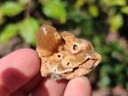 Natural Mix of Multi Mineral Specimens x 3.25 kg Lot From Southern Africa - Toprock Gemstones and Minerals 