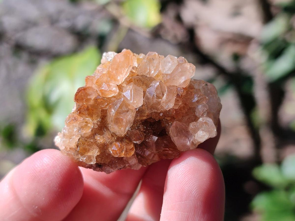 Natural Mix of Multi Mineral Specimens x 3.25 kg Lot From Southern Africa - Toprock Gemstones and Minerals 