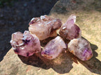 Natural Mix of Multi Mineral Specimens x 3.25 kg Lot From Southern Africa - Toprock Gemstones and Minerals 