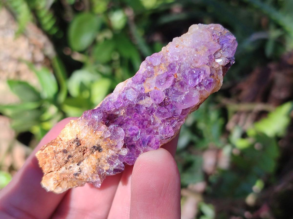 Natural Dark Purple Amethyst Crystal Clusters x 35 From Boekenhouthoek, South Africa - Toprock Gemstones and Minerals 