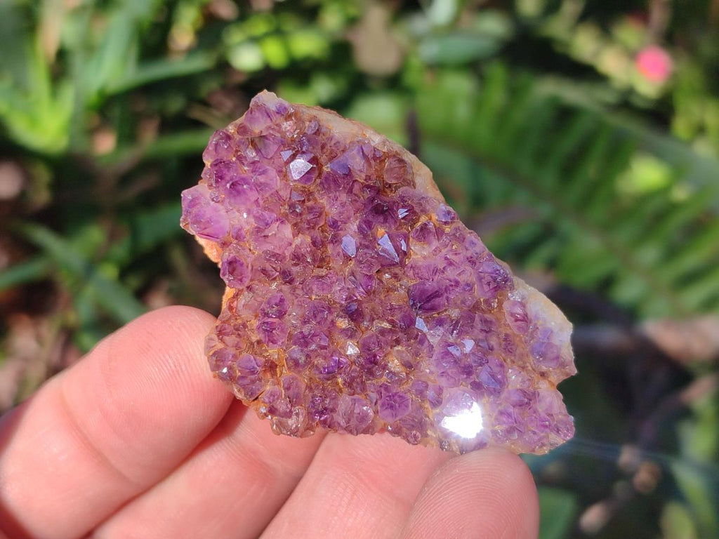 Natural Dark Purple Amethyst Crystal Clusters x 35 From Boekenhouthoek, South Africa - Toprock Gemstones and Minerals 