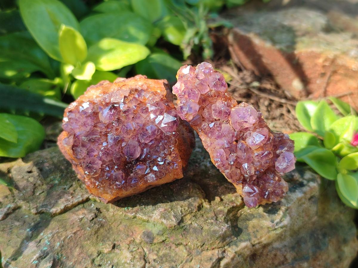 Natural Dark Purple Amethyst Crystal Clusters x 35 From Boekenhouthoek, South Africa - Toprock Gemstones and Minerals 