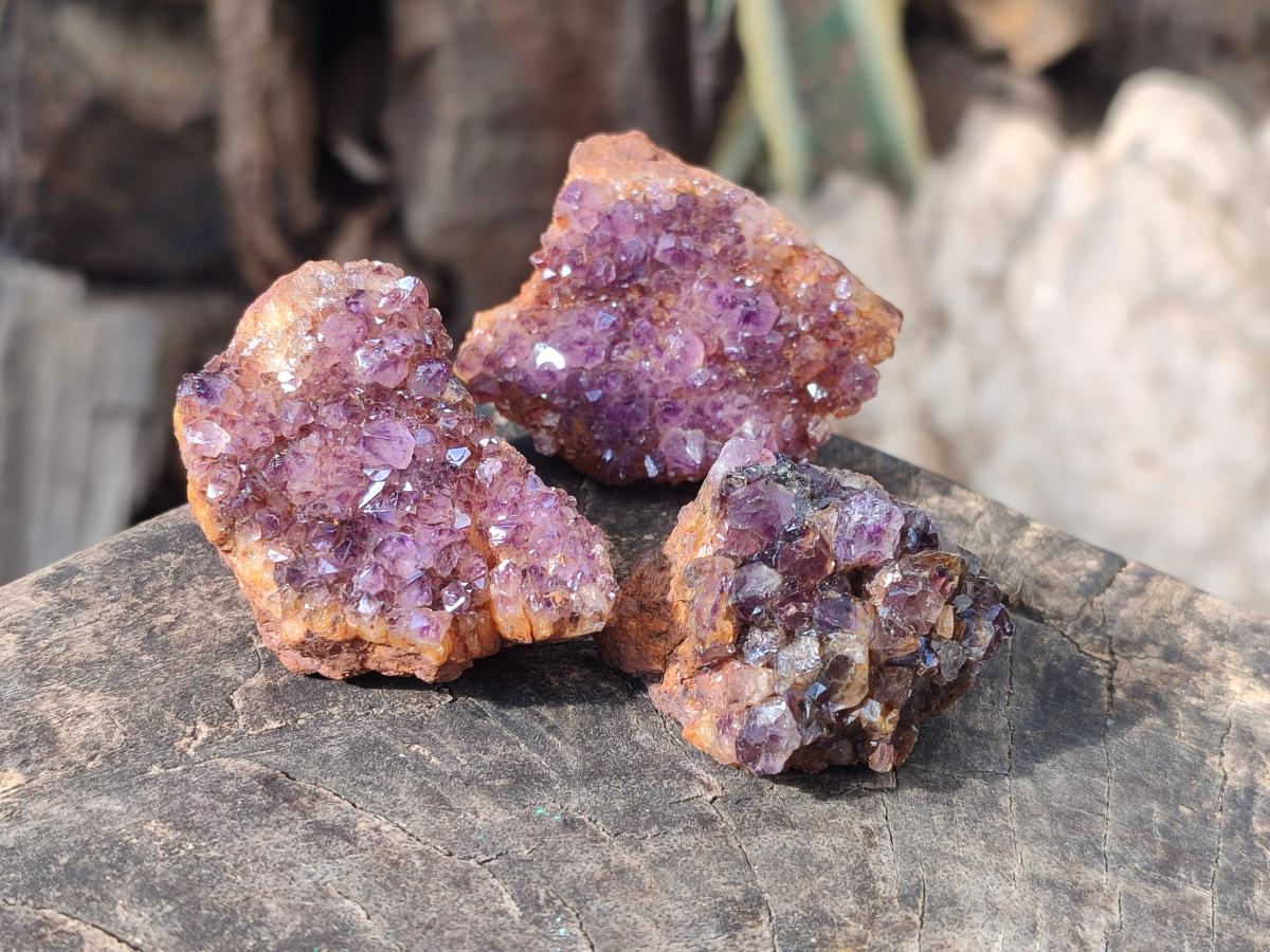 Natural Dark Purple Amethyst Crystal Clusters x 35 From Boekenhouthoek, South Africa - Toprock Gemstones and Minerals 