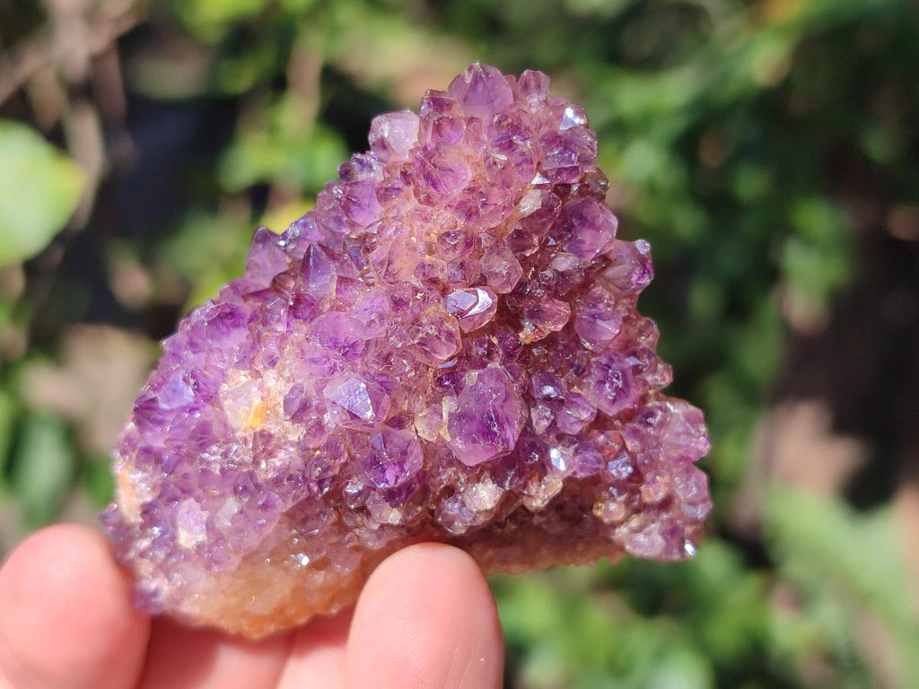 Natural Dark Purple Amethyst Crystal Clusters x 35 From Boekenhouthoek, South Africa - Toprock Gemstones and Minerals 