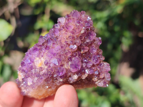 Natural Dark Purple Amethyst Crystal Clusters x 35 From Boekenhouthoek, South Africa - Toprock Gemstones and Minerals 