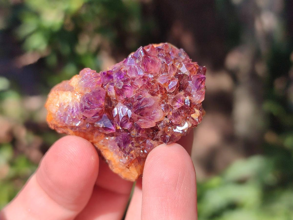 Natural Dark Purple Amethyst Crystal Clusters x 35 From Boekenhouthoek, South Africa - Toprock Gemstones and Minerals 