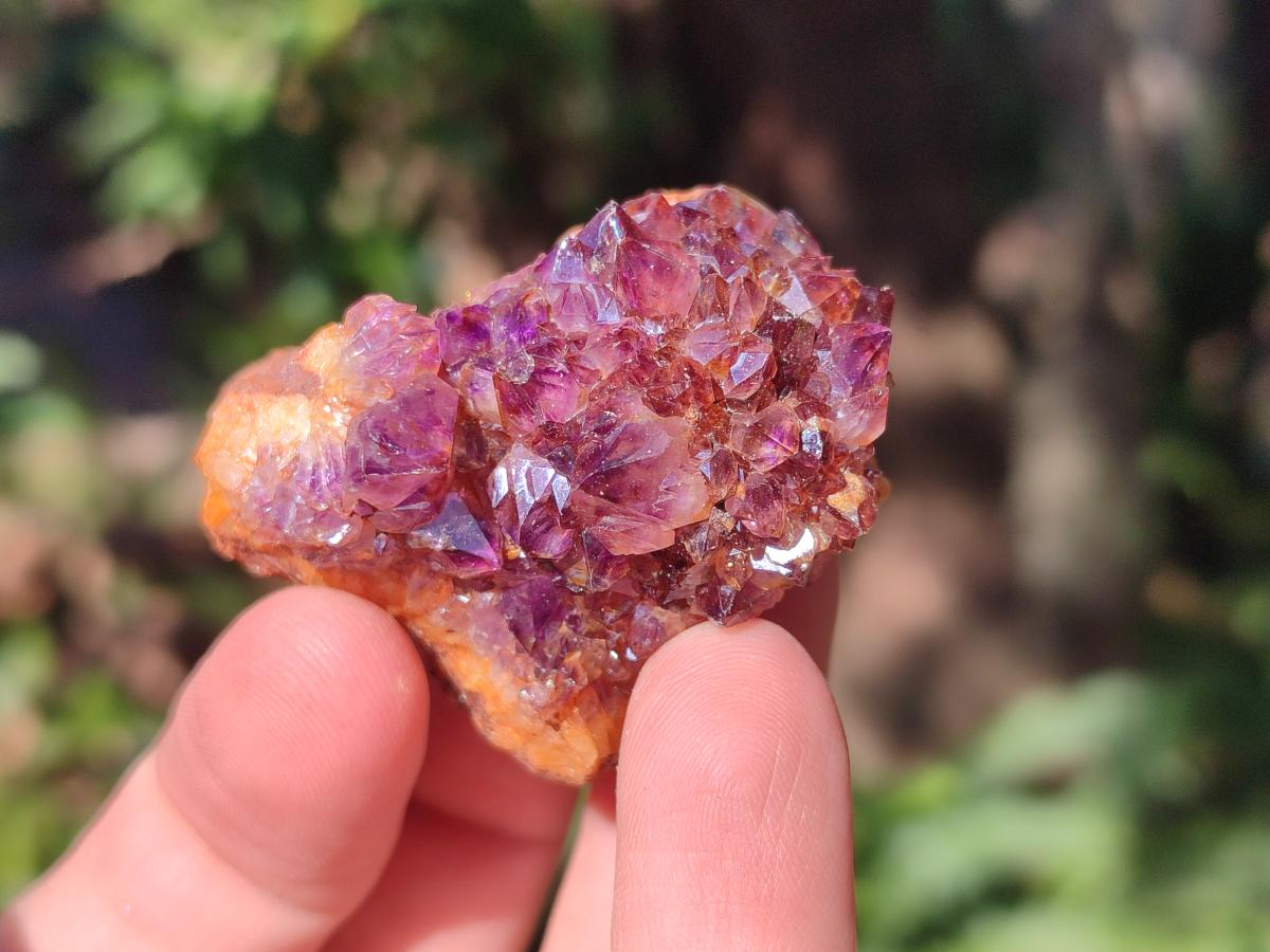 Natural Dark Purple Amethyst Crystal Clusters x 35 From Boekenhouthoek, South Africa - Toprock Gemstones and Minerals 