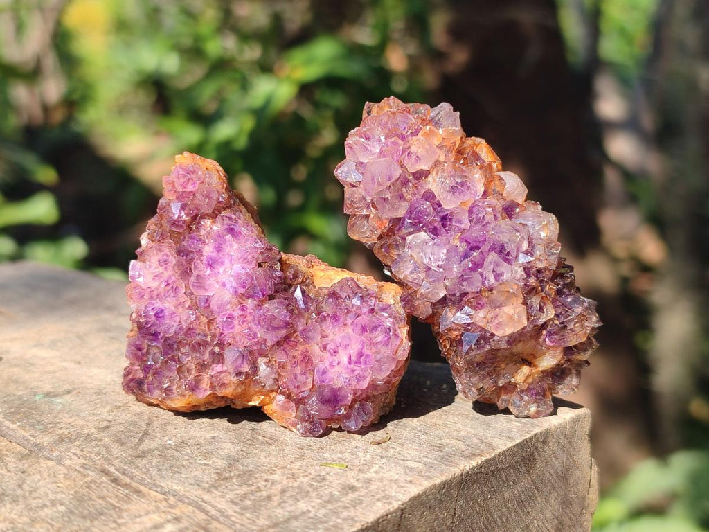Natural Dark Purple Amethyst Crystal Clusters x 35 From Boekenhouthoek, South Africa - Toprock Gemstones and Minerals 
