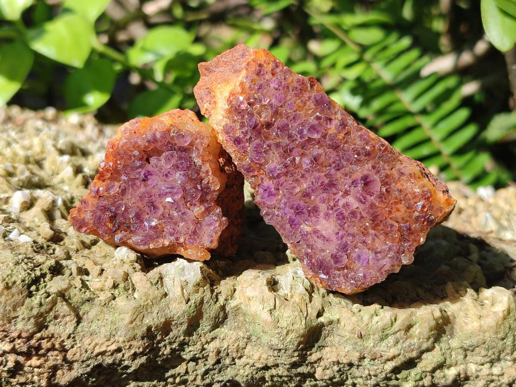 Natural Dark Purple Amethyst Crystal Clusters x 35 From Boekenhouthoek, South Africa - Toprock Gemstones and Minerals 